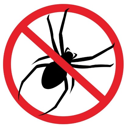 Spider-proof storage containers